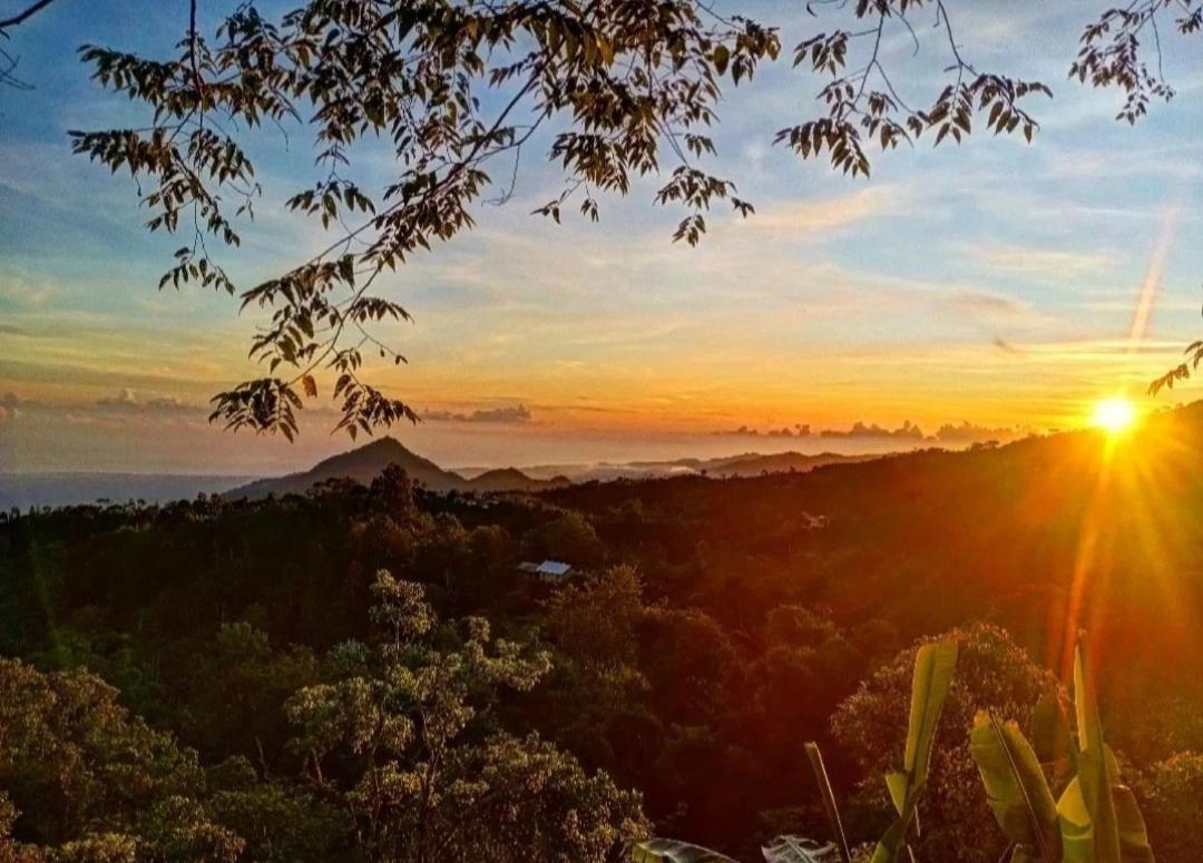 Wanagiri Campsite Gitgit Екстер'єр фото